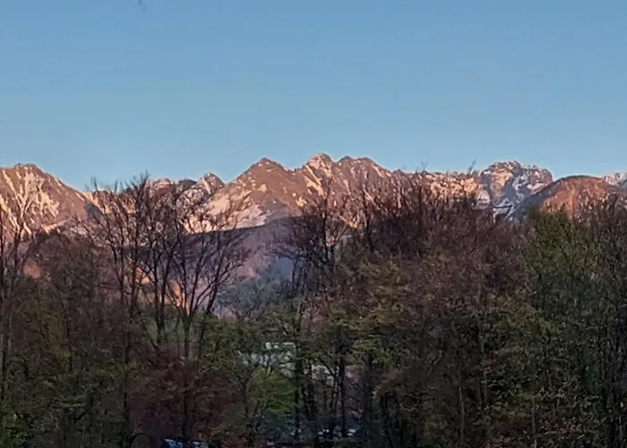 Pokoje Goscinne Brzozowa 14