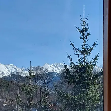Pokoje Goscinne Brzozowa 14 Zakopane Exterior photo