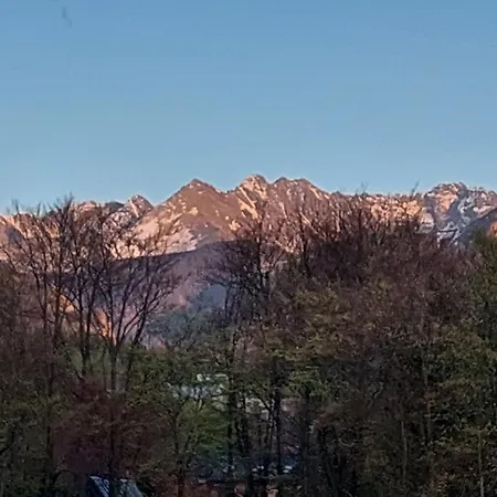 Pokoje Goscinne Brzozowa 14 Zakopane Exterior photo