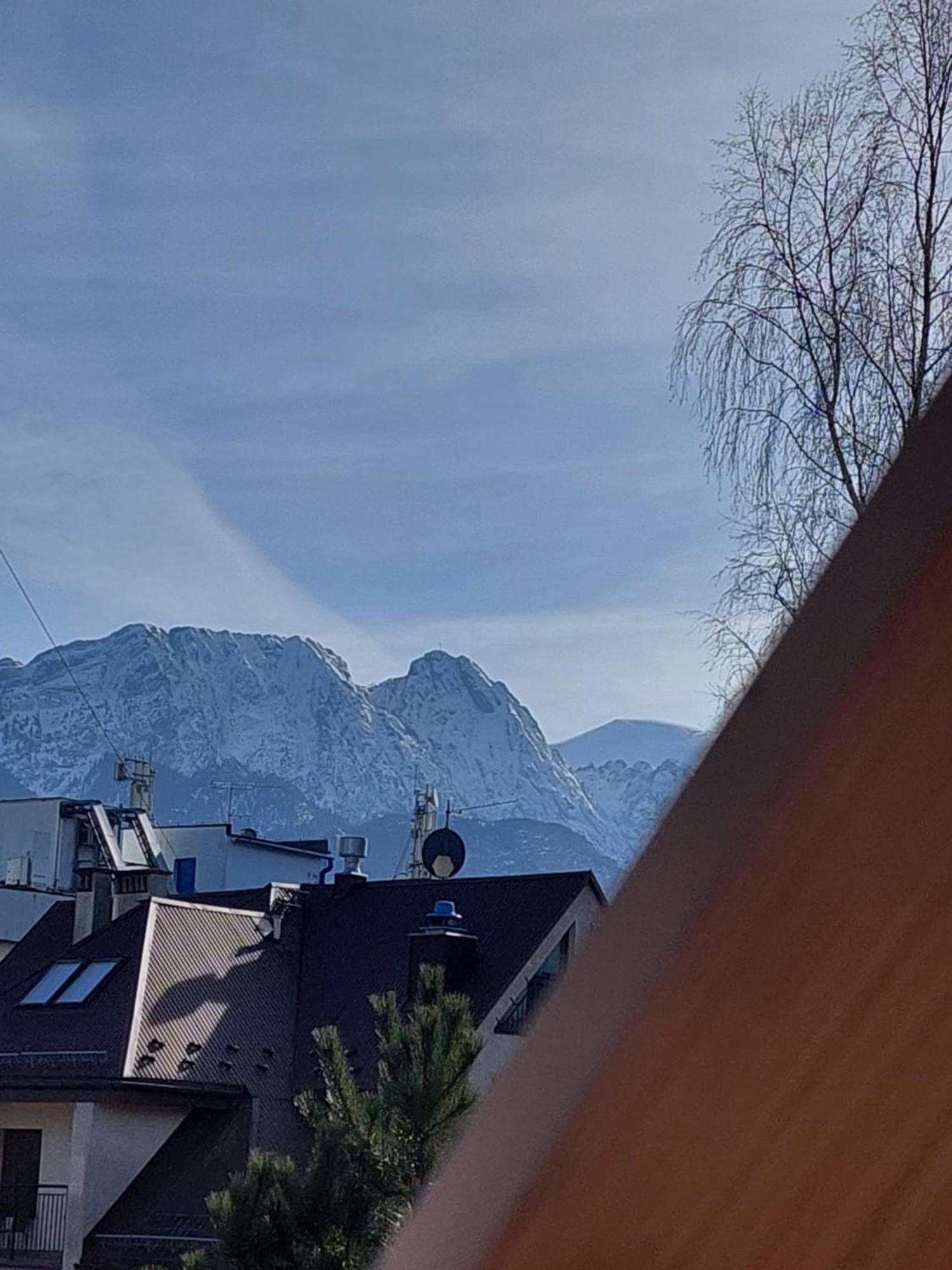 Goscinne Brzozowa 14 Homestay *