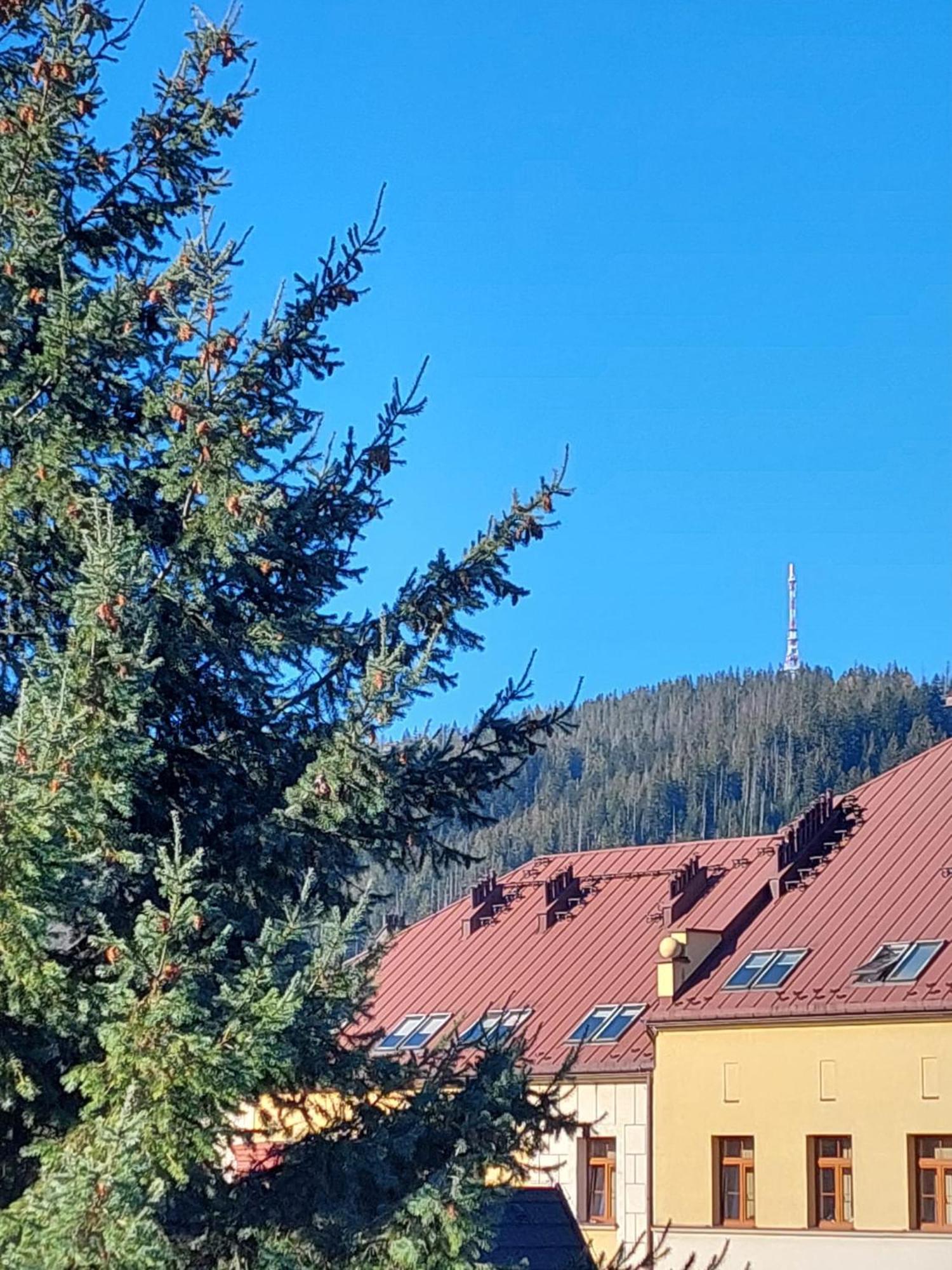Goscinne Brzozowa 14 Homestay