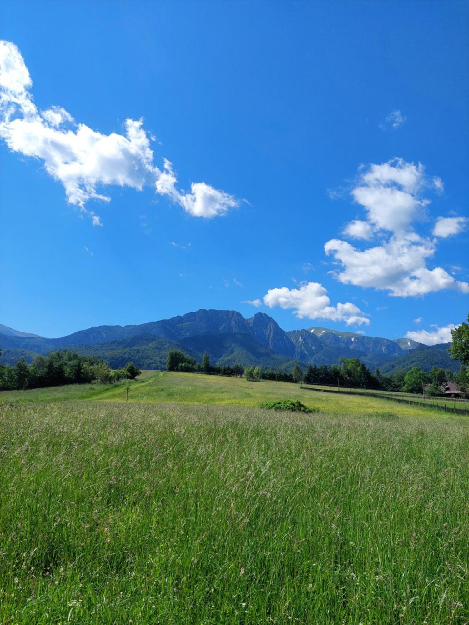Homestay Goscinne Brzozowa 14